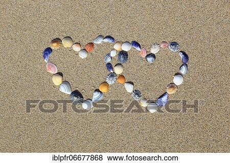 Stock Photo - Shells forming double heart shape, Scotland, UK. Fotosearch