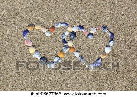 Stock Photograph - Shells forming double heart shape, Scotland, UK. Fotosearch