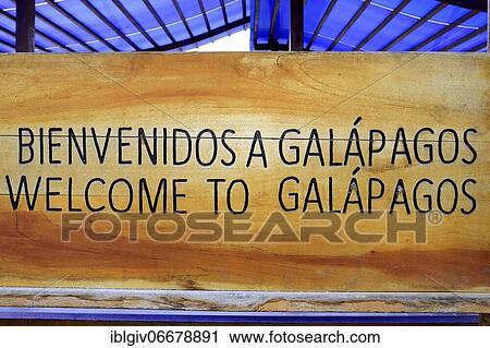 Sign at the ferry terminal Baltra, Welcome to Galapagos, Santa Cruz Island, Galapagos, Ecuador, South America View Large Photo Image Stock Image - Sign at the ferry terminal Baltra, Welcome to Galapagos, Santa Cruz Island, Galapagos, Ecuador, South America. Fotosearch