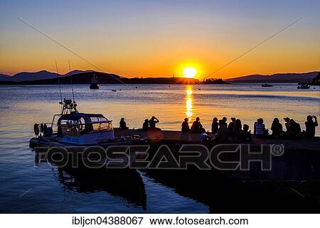 Silhouette of young people in the water, watching the sunset, Oban, Argyll and Bute, Scotland, United Kingdom, Europe View Large Photo Image Stock Photo - Silhouette of young people in the water, watching the sunset, Oban, Argyll and Bute, Scotland, United Kingdom, Europe. Fotosearch
