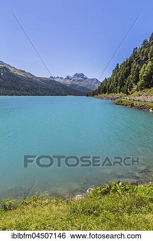 Silvaplana lake, Engadine lakeland, Piz de la Margna, 3159 m, Silvaplana, Maloja region, county Upper Engadine, Canton of Grisons, Switzerland, Europe View Large Photo Image Stock Photograph - Silvaplana lake, Engadine lakeland, Piz de la Margna, 3159 m, Silvaplana, Maloja region, county Upper Engadine, Canton of Grisons, Switzerland, Europe. Fotosearch