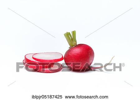 Stock Photography - Sliced Radish ( Raphanus sativus sativus). Fotosearch