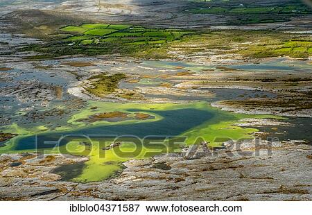 Stock Photo - Small lakes in the Burrenfelsen, Turloughs in the Burren, green algae, Burren, nature reserve, limestone rock, chalk cliff formation, Mullaghmore Burren, County Clare, County Clare, Ireland, Europe. Fotosearch