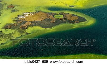Small lakes in the Burrenfelsen, Turloughs in the Burren, green algae, Burren, nature reserve, limestone rock, chalk cliff formation, Mullaghmore Burren, County Clare, Ireland, Europe View Large Photo Image Stock Photo - Small lakes in the Burrenfelsen, Turloughs in the Burren, green algae, Burren, nature reserve, limestone rock, chalk cliff formation, Mullaghmore Burren, County Clare, Ireland, Europe. Fotosearch