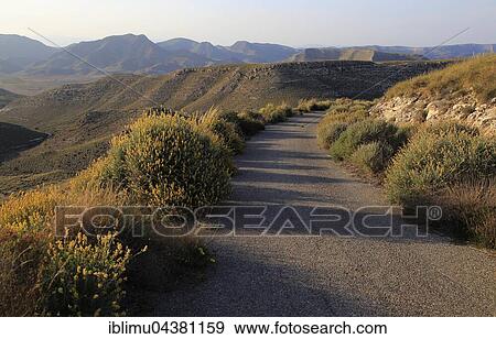 Small road in the mountains, Rodalquilar, Cabo de Gata Natural Park, Almeria Province, Spain, Europe View Large Photo Image Stock Photo - Small road in the mountains, Rodalquilar, Cabo de Gata Natural Park, Almeria Province, Spain, Europe. Fotosearch
