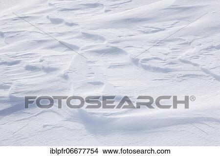 Picture - Snow detail, Switzerland, Europe. Fotosearch