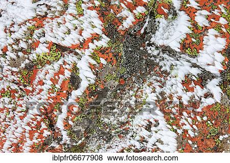 Snowdrifts Detail, Cairngorms NP, Scotland, Great Britain View Large Photo Image Stock Photo - Snowdrifts Detail, Cairngorms NP, Scotland, Great Britain. Fotosearch