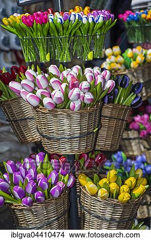 Souvenir wooden tulips, Volendam, The Netherlands, Europe View Large Photo Image Picture - Souvenir wooden tulips, Volendam, The Netherlands, Europe. Fotosearch