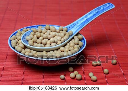 Stock Photograph - Soybeans in shell, Glycine max. Fotosearch