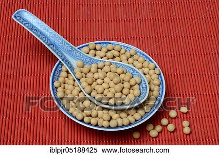 Soybeans in shell, Glycine max View Large Photo Image Stock Photography - Soybeans in shell, Glycine max. Fotosearch