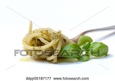 Spaghetti with pesto on fork and basil, pesto alla genovese View Large Photo Image Stock Photo - Spaghetti with pesto on fork and basil, pesto alla genovese. Fotosearch