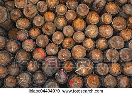 Stock Image - Stacked logs, sawmill near Hittisau, Bregenz Forest, Vorarlberg, Austria, Europe. Fotosearch