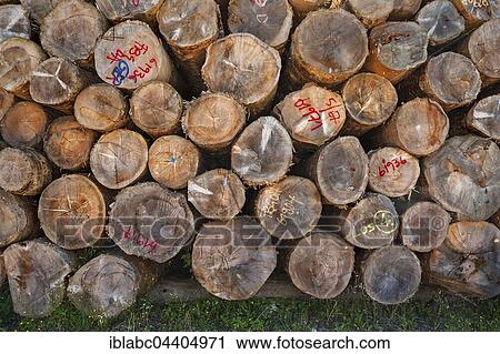 Stacked logs, sawmill near Hittisau, Bregenz Forest, Vorarlberg, Austria, Europe View Large Photo Image Stock Image - Stacked logs, sawmill near Hittisau, Bregenz Forest, Vorarlberg, Austria, Europe. Fotosearch