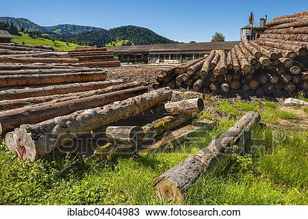 Stacked peeled logs, sawmill near Hittisau, Bregenz Forest, Vorarlberg, Austria, Europe View Large Photo Image Stock Image - Stacked peeled logs, sawmill near Hittisau, Bregenz Forest, Vorarlberg, Austria, Europe. Fotosearch
