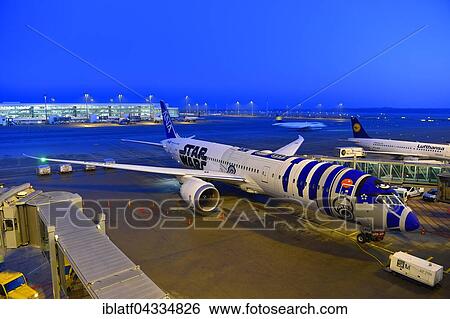 Star Wars, Boeing, B787 Dreamliner, All Nippon Airlines, ANA, Star Alliance, MUC, Munich Airport, Upper Bavaria, Bavaria, Germany, Europe View Large Photo Image Stock Photograph - Star Wars, Boeing, B787 Dreamliner, All Nippon Airlines, ANA, Star Alliance, MUC, Munich Airport, Upper Bavaria, Bavaria, Germany, Europe. Fotosearch