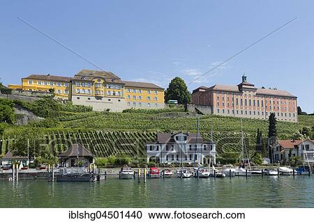 Statsweingut Meersburg, vineyard, Lake Constance, Baden-Württemberg, Germany, Europe View Large Photo Image Stock Image - Statsweingut Meersburg, vineyard, Lake Constance, Baden-Württemberg, Germany, Europe. Fotosearch