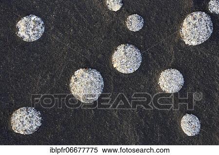 Stone Detail View Large Photo Image Stock Photography - Stone Detail. Fotosearch