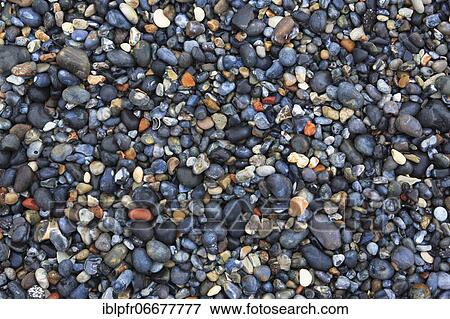 Stones on the beach, Germany, Europe View Large Photo Image Stock Photo - Stones on the beach, Germany, Europe. Fotosearch
