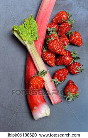 Stock Image - Strawberries and rhubarb, rhubarb stalks, rheum rhabarbarum, rhubarb stalks. Fotosearch
