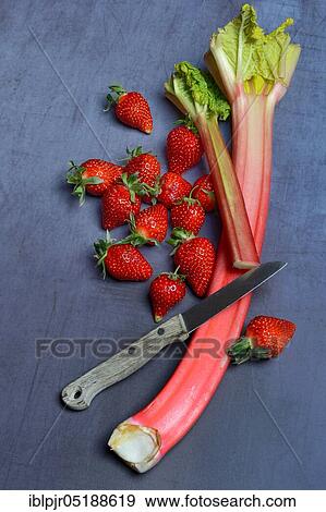 Stock Photo - Strawberries and rhubarb, rhubarb stalks, rheum rhabarbarum, rhubarb stalks. Fotosearch