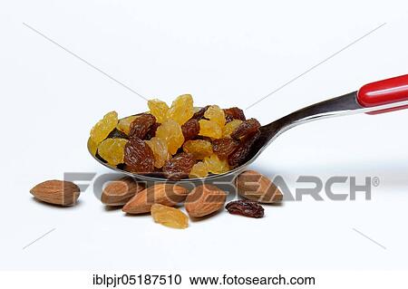 Sultana, raisins in spoon and almonds, Prunus dulcis View Large Photo Image Stock Image - Sultana, raisins in spoon and almonds, Prunus dulcis. Fotosearch