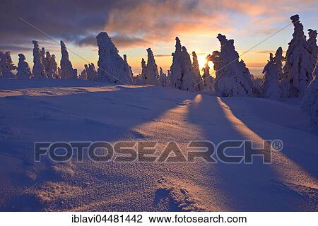 Sunrise on the Brocken, winter, snow-covered pines, Harz National Park, Saxony-Anhalt, Germany, Europe View Large Photo Image Stock Image - Sunrise on the Brocken, winter, snow-covered pines, Harz National Park, Saxony-Anhalt, Germany, Europe. Fotosearch
