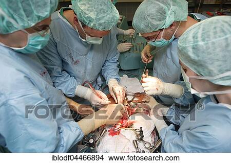 Surgery, doctor, team, hospital, vascular surgery, Germany, Europe View Large Photo Image Picture - Surgery, doctor, team, hospital, vascular surgery, Germany, Europe. Fotosearch