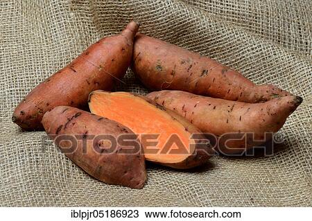 Sweet potatoes ( Ipomoea batatas) sliced, cut in half View Large Photo Image Stock Image - Sweet potatoes ( Ipomoea batatas) sliced, cut in half. Fotosearch
