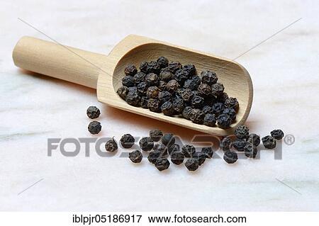 Tellicherry pepper ( Piper nigrum) in wooden shovel, Tellicherry pepper View Large Photo Image Stock Photo - Tellicherry pepper ( Piper nigrum) in wooden shovel, Tellicherry pepper. Fotosearch