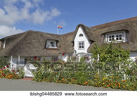Stock Photo - Thatched-roof house with summer flowers, Nebel, Amrum, North Frisia, Schleswig-Holstein, Germany, Europe. Fotosearch