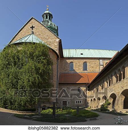 The thousand-year-old rosebush, courtyard, Hoher Dom, Hildesheim, Lower Saxony, Germany, Europe View Large Photo Image Stock Image - The thousand-year-old rosebush, courtyard, Hoher Dom, Hildesheim, Lower Saxony, Germany, Europe. Fotosearch