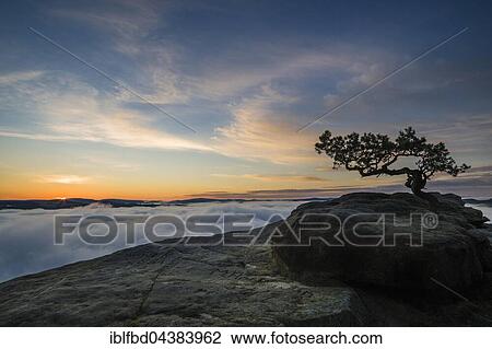 Thick fog is filling the valley of the river Elbe in Elbsandsteingebirge, seen from Lilienstein at sunrise, Königstein, Saxony, Germany, Europe View Large Photo Image Stock Image - Thick fog is filling the valley of the river Elbe in Elbsandsteingebirge, seen from Lilienstein at sunrise, Königstein, Saxony, Germany, Europe. Fotosearch