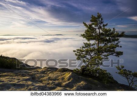 Thick fog is filling the valley of the river Elbe in Elbsandsteingebirge, seen from Lilienstein at sunrise, Königstein, Saxony, Germany, Europe View Large Photo Image Stock Photograph - Thick fog is filling the valley of the river Elbe in Elbsandsteingebirge, seen from Lilienstein at sunrise, Königstein, Saxony, Germany, Europe. Fotosearch