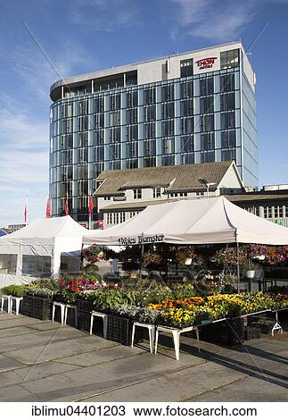 Thon Hotel building and market flower stall, Svolvaer, Lofoten Islands, Nordland, Norway, Europe View Large Photo Image Stock Image - Thon Hotel building and market flower stall, Svolvaer, Lofoten Islands, Nordland, Norway, Europe. Fotosearch