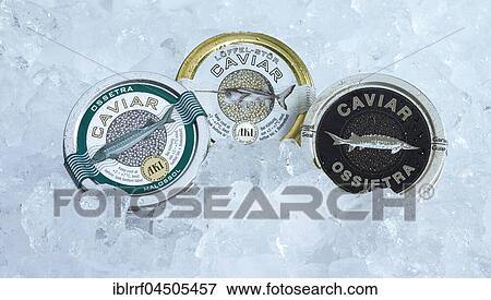 Three cans of caviar on ice View Large Photo Image Stock Photo - Three cans of caviar on ice. Fotosearch