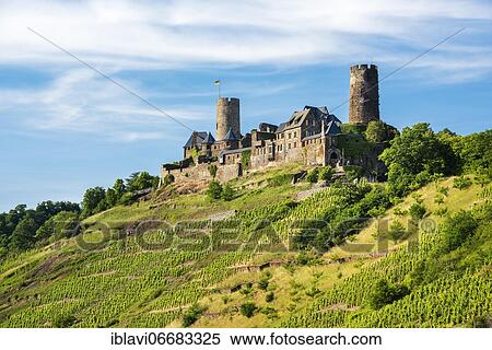 Thurant Castle above vineyards in the Moselle Valley, Alken, Untermosel, Rhineland-Palatinate, Germany, Europe View Large Photo Image Stock Photography - Thurant Castle above vineyards in the Moselle Valley, Alken, Untermosel, Rhineland-Palatinate, Germany, Europe. Fotosearch