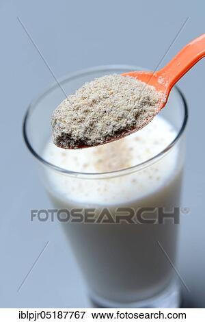 Tigernut flour in spoon and glass of milk, Cyperus esculentus View Large Photo Image Stock Photo - Tigernut flour in spoon and glass of milk, Cyperus esculentus. Fotosearch