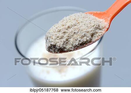 Tigernut flour in spoon and glass of milk, Cyperus esculentus View Large Photo Image Stock Photo - Tigernut flour in spoon and glass of milk, Cyperus esculentus. Fotosearch