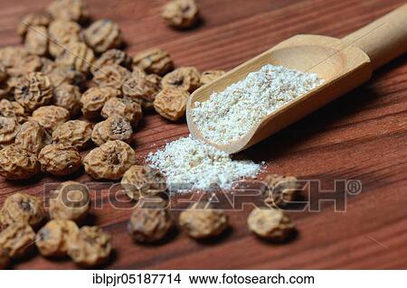Tigernuts and tigernut flour in shovel, Cyperus esculentus View Large Photo Image Picture - Tigernuts and tigernut flour in shovel, Cyperus esculentus. Fotosearch