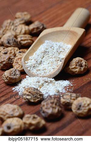 Tigernuts and tigernut flour in shovel, Cyperus esculentus View Large Photo Image Stock Photography - Tigernuts and tigernut flour in shovel, Cyperus esculentus. Fotosearch