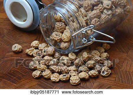 Tigernuts in glass, Cyperus esculentus View Large Photo Image Stock Image - Tigernuts in glass, Cyperus esculentus. Fotosearch