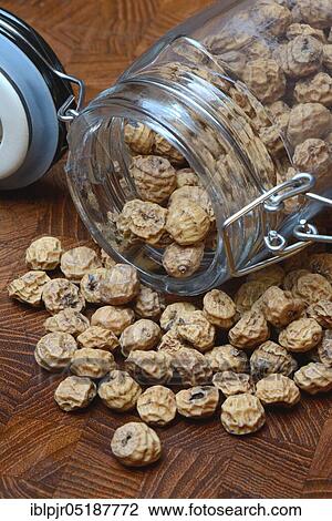 Stock Image - Tigernuts in glass, Cyperus esculentus. Fotosearch