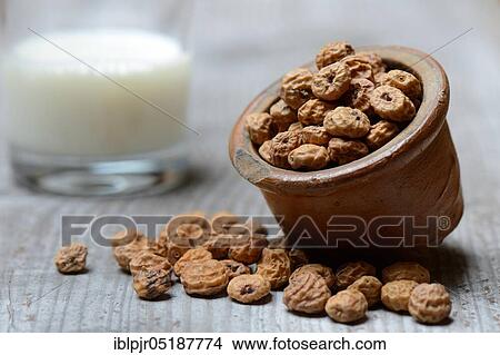 Picture - Tigernuts in pot and glass of milk, Cyperus esculentus. Fotosearch