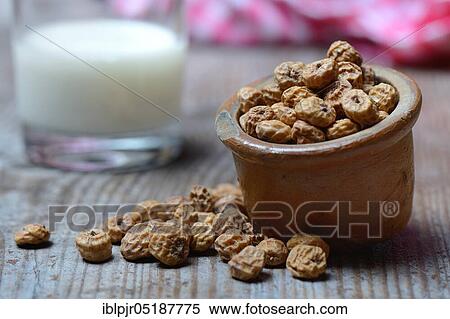 Stock Photography - Tigernuts in pot and glass of milk, Cyperus esculentus. Fotosearch