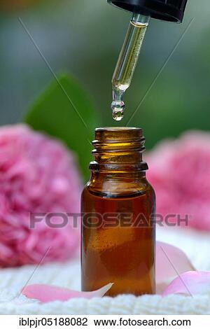 Tincture, bottle and pipette with drops, rose oil, rose oil View Large Photo Image Stock Image - Tincture, bottle and pipette with drops, rose oil, rose oil. Fotosearch