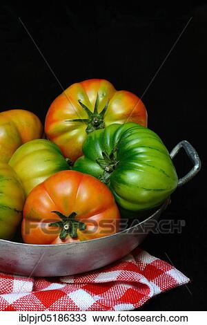 Tomatoes in bowl, Emilia-Romagna, variety Costoluto di Parma, Italy, Europe View Large Photo Image Stock Image - Tomatoes in bowl, Emilia-Romagna, variety Costoluto di Parma, Italy, Europe. Fotosearch