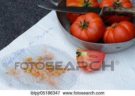 Stock Photo - Tomatoescores on household paper, Emilia-Romagna, tissue paper, in tray, Costoluto di Parma variety, Italy, Europe. Fotosearch