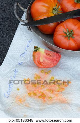 Stock Photo - Tomatoescores on household paper, Emilia-Romagna, tissue paper, in tray, Costoluto di Parma variety, Italy, Europe. Fotosearch