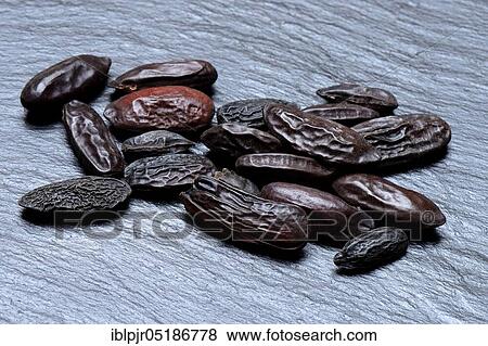 Stock Photo - Tonka beans ( Dipteryx odorata). Fotosearch