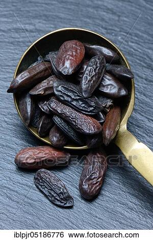 Tonka beans in ladle ( Dipteryx odorata) View Large Photo Image Stock Photograph - Tonka beans in ladle ( Dipteryx odorata). Fotosearch